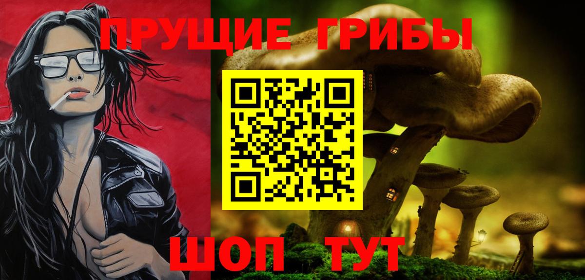 Галлюциногенные грибы Psilocybe Нефтекумск